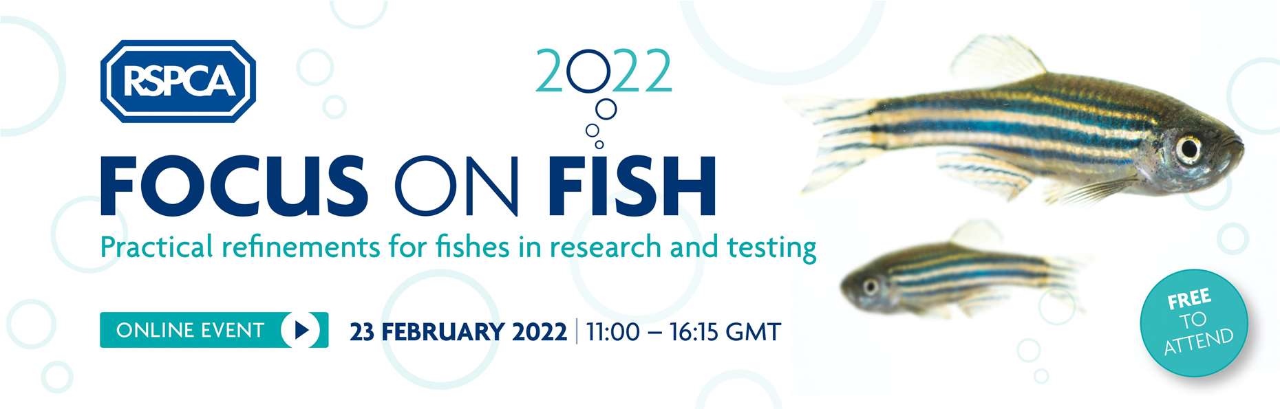 RSPCA: Focus on Fish 